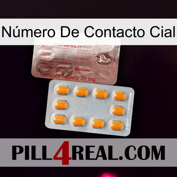 Número De Contacto Cial new13